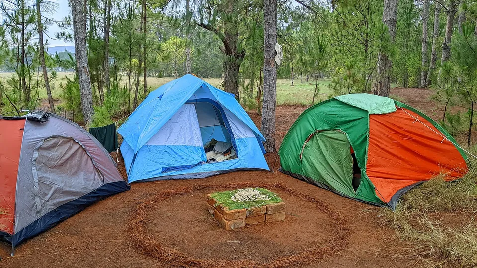 Mehrere Zelte auf einem Campingplatz zwischen Bäumen