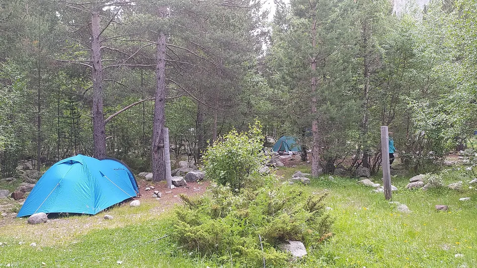 Zelte und Campingplatz im Wald an einem See